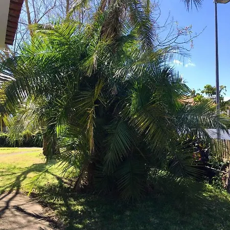 Casa Da Paz Holiday home Pico da Pedra